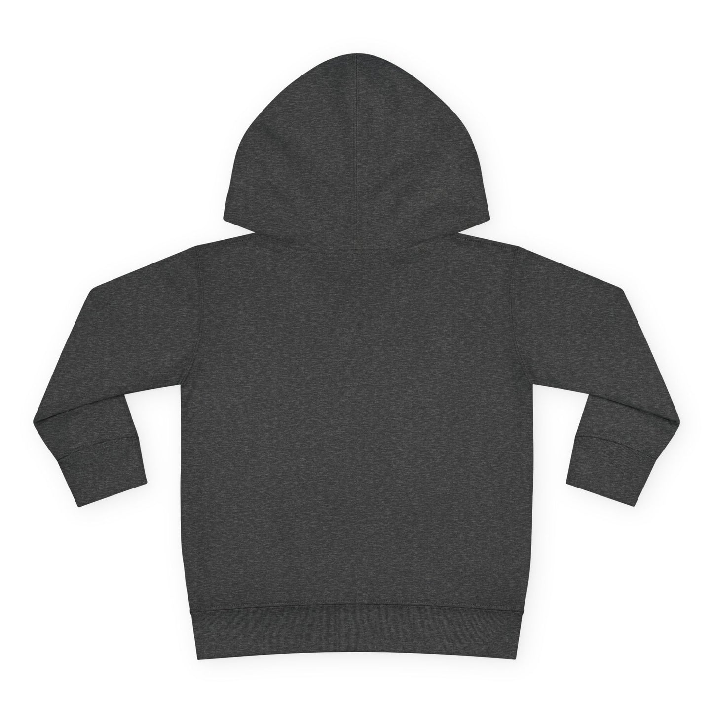 Standard LxL Toddler Hoodie